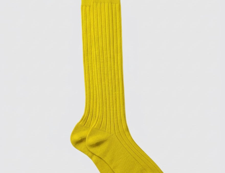 Bio College Socks